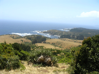 Caleta de Chome