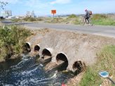 contaminación ambiental